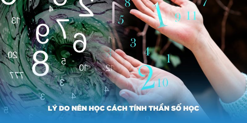 Lý do mọi người nên học cách tính thần số học của bản thân