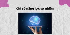 Chỉ Số Năng Lực Tự Nhiên - Ý Nghĩa Trong Thần Số Học